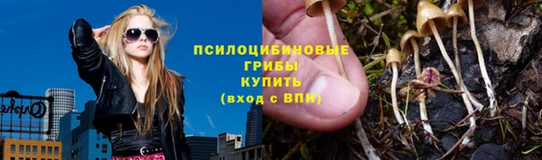 Альфа ПВП Костерёво