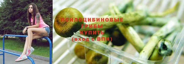 спайс Корсаков