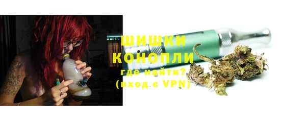спайс Корсаков