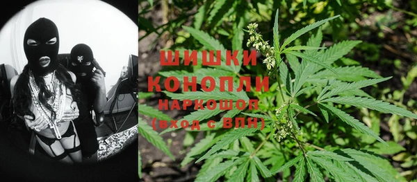 спайс Корсаков