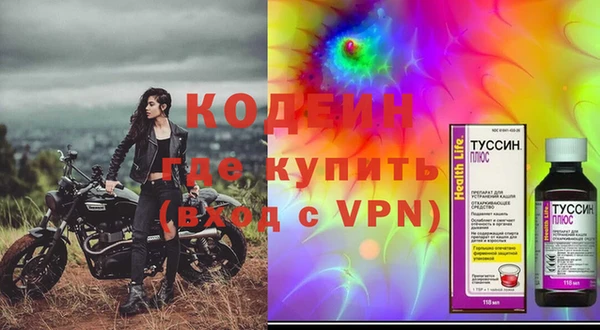 спайс Корсаков