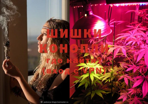 спайс Корсаков